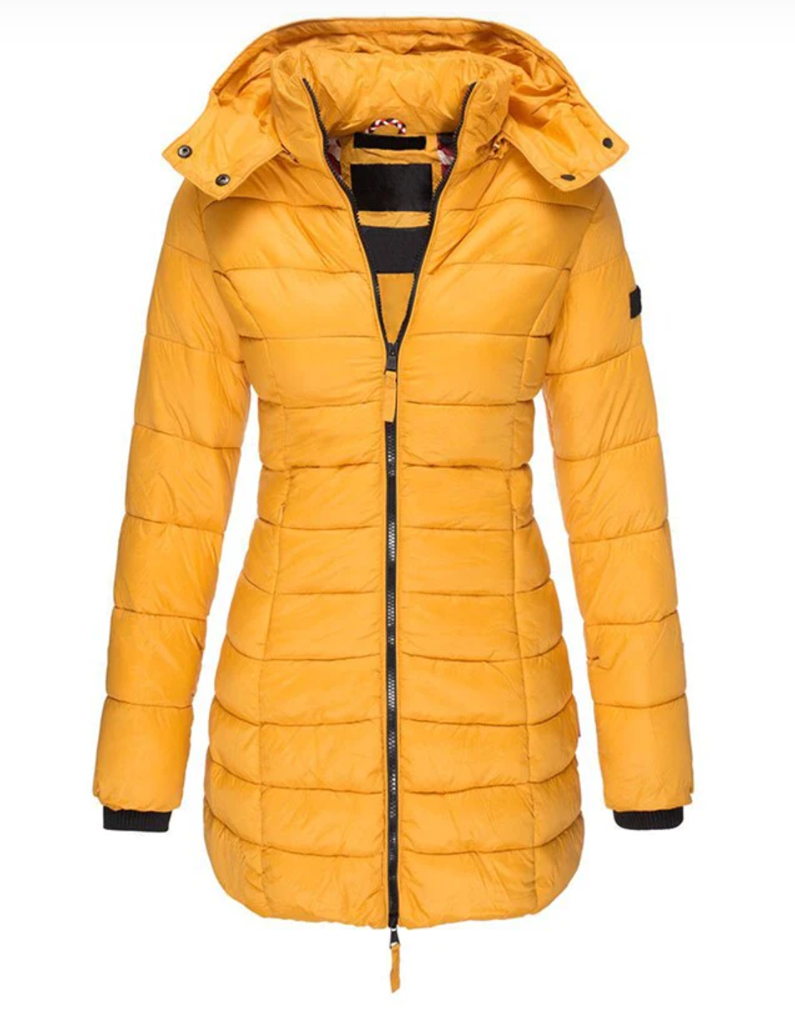 Women's zip up hooded down jacket