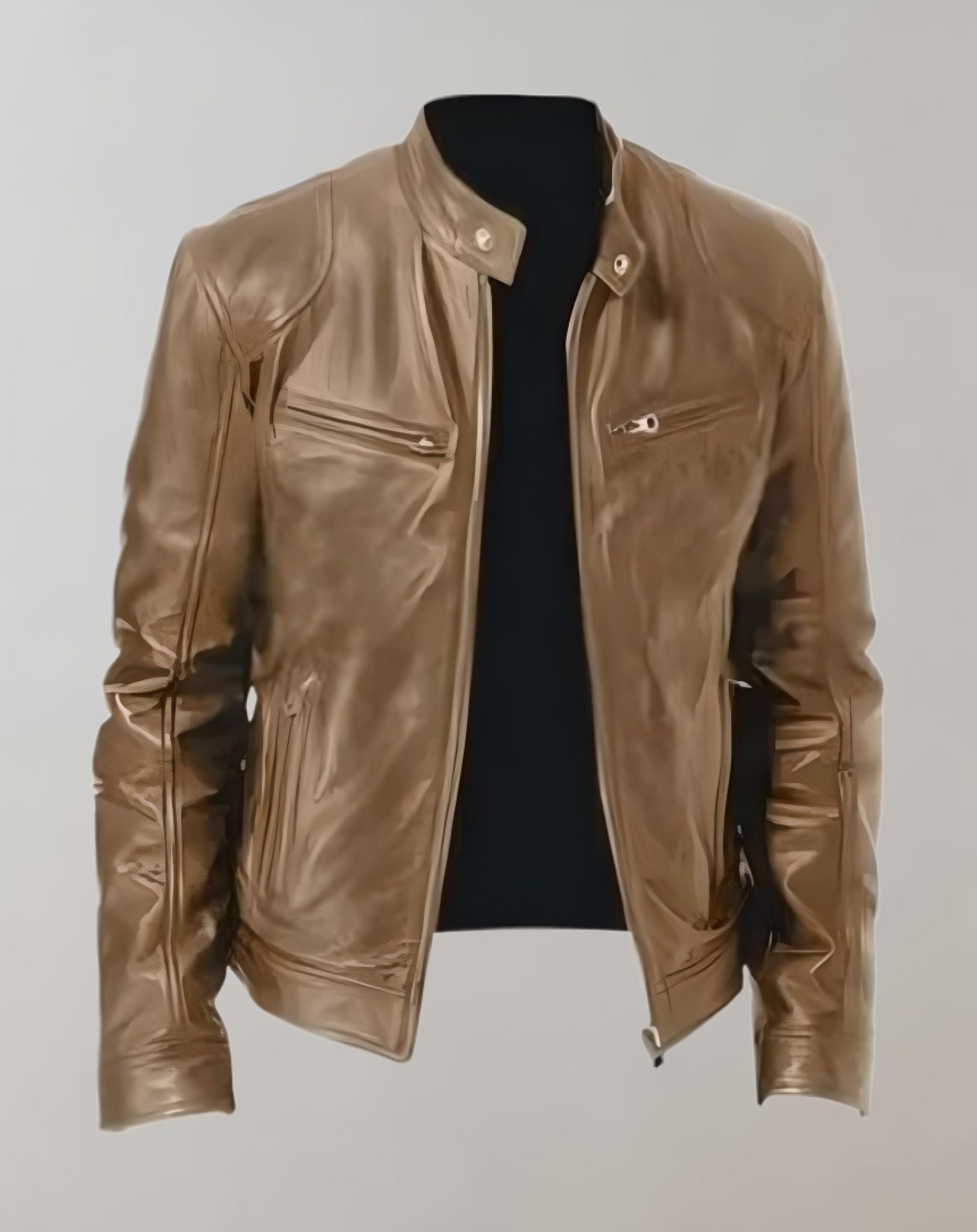 Men's stand collar leather jacket